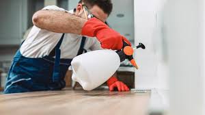 Real Estate Pest Inspections in Glenshaw, PA